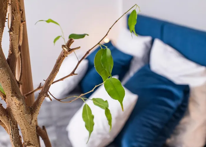 Rodzinne アパート